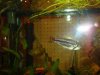 DSC06843.jpg