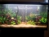 20120304_143920.jpg
