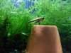 20121205_231733.jpg