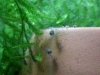 20121205_231935.jpg