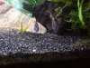 20121206_212533.jpg