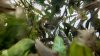 IMG_20130314_184017_517.jpg