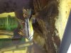 Apisto.JPG