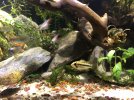 9E1CA96F-D79A-4CD7-B6B8-452EBDD21AC1.jpeg