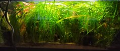 lineta_feb_2025.jpg