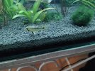 IMG_20250521_164733.jpg