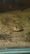VideoCapture_20250605-020124.jpg