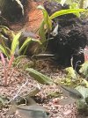 IMG_3674.jpeg