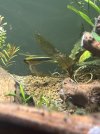 IMG_3690.jpeg