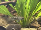 IMG_0082.jpeg