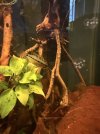 IMG_0045.jpeg