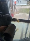 IMG_1356.jpeg