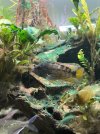 IMG_3306.jpeg
