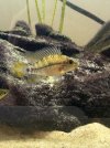 IMG_0018.jpeg