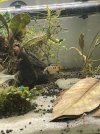 IMG_3132.jpeg