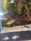 IMG_3391.jpeg