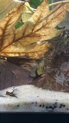 IMG_3318.jpeg