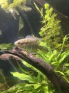 IMG_7259.jpeg