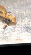 IMG_1242.jpeg