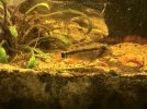 IMG_0682.jpeg