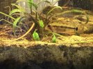 IMG_0685.jpeg