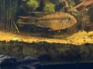 IMG_0677.jpeg