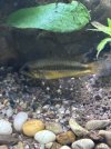 IMG_3300.jpeg