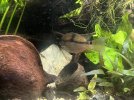 IMG_7619.jpeg