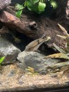 IMG_7498.jpeg