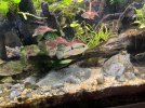 IMG_7158.jpeg