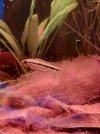 20260315_184648.jpg