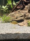 IMG_8041.jpeg