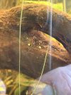IMG_3567.jpeg