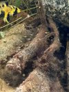 IMG_3618.jpeg