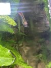 IMG_0974.jpeg