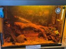 IMG20260526143423.jpg