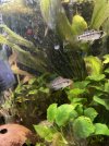 IMG_6096.jpeg