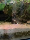 IMG_6119.jpeg