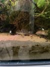 IMG_6116.jpeg