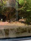IMG_6115.jpeg