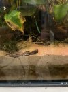 IMG_6125.jpeg