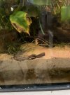 IMG_6126.jpeg