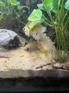 IMG_6205.jpeg