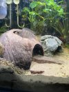 IMG_6214.jpeg