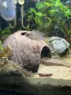 IMG_6215.jpeg