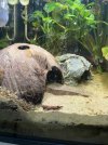 IMG_6218.jpeg