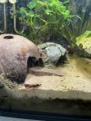 IMG_6220.jpeg