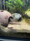 IMG_6221.jpeg