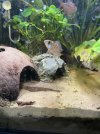 IMG_6224.jpeg