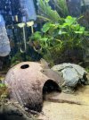 IMG_6231.jpeg